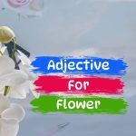 adjective flower