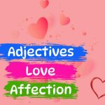 adjective love affection
