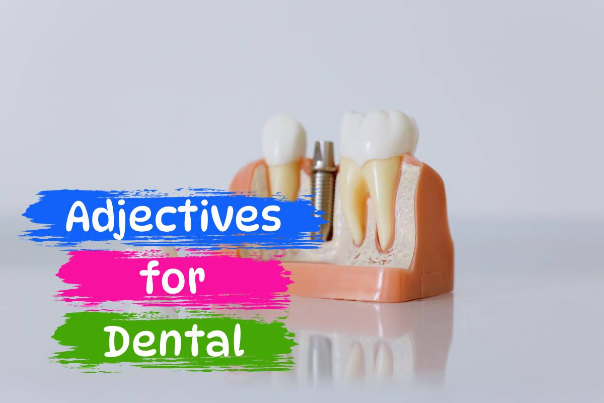 adjectives for dental