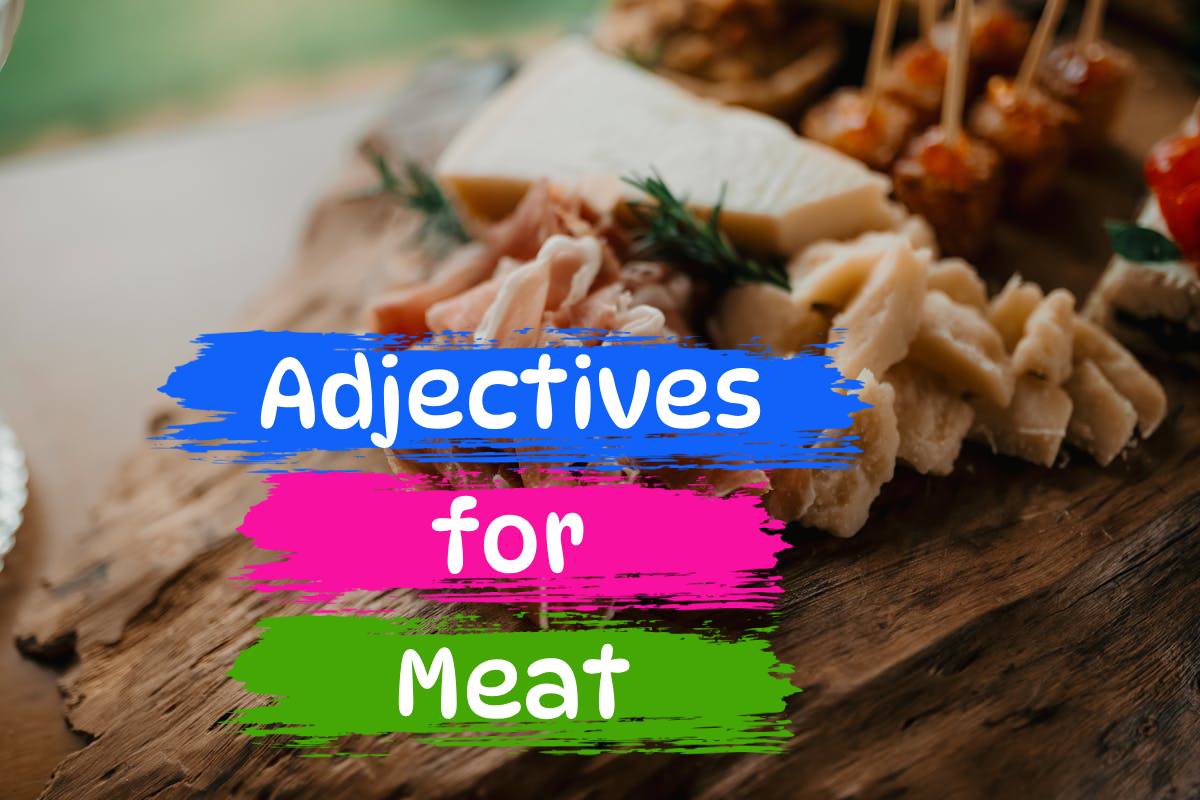 adjective for meat