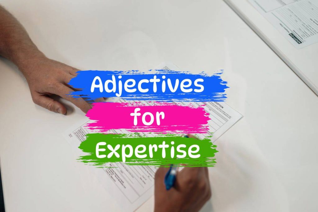 expertise adjectives