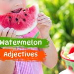 watermelon adjectives